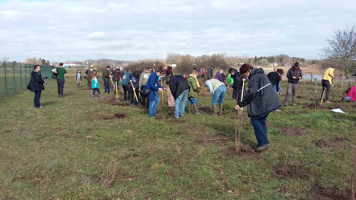 BoswachterJ's tweet photo. Zondag 20/01 plantactie #vinderhoutsebossen van 13:30 tot 16:00 afspraak parking Beekstraat 46 te Drongen. Inschrijven op vinderhoutsebossen@vlm.be #vinderhoutsebossen #vlm #bosuitbreiding https://t.co/eg9E3n1ZzE