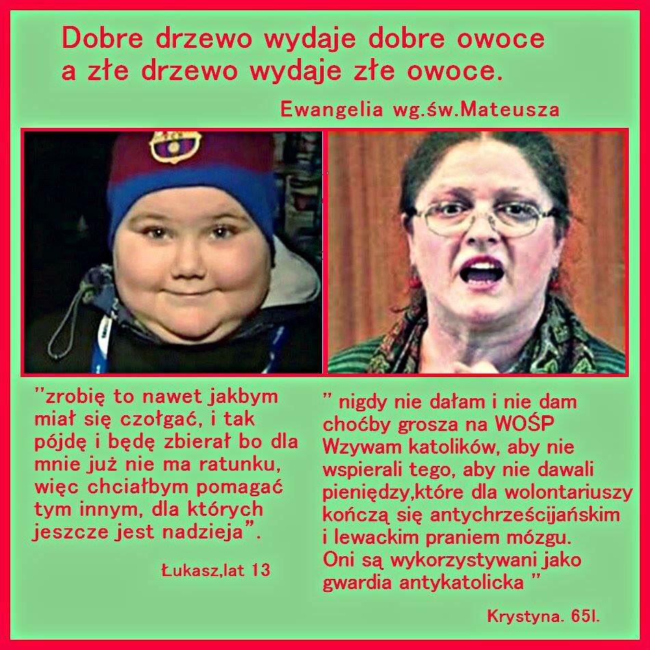 The Rose of Denmark tweet media