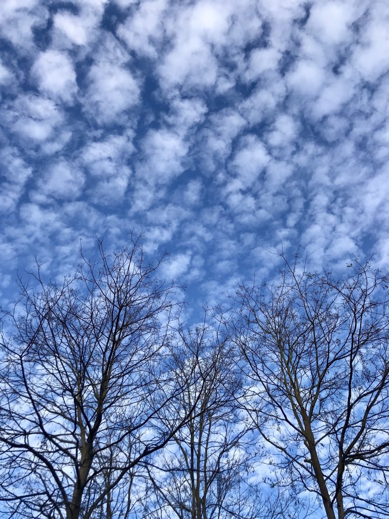 Hoje está assim ... #Oxford #skylovers