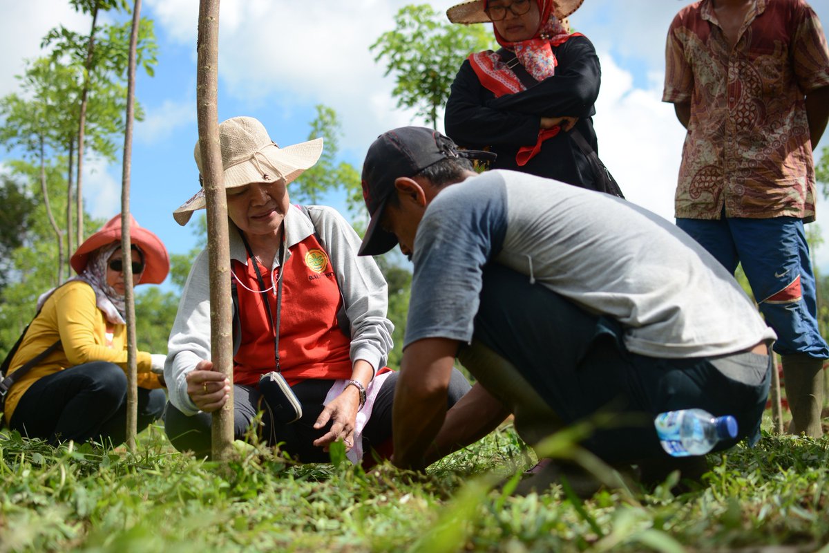 ICCO_ROSEA's tweet photo. Our country project manager for the #SpiceUp program in #Indonesia recently visited our #demoplot in Bangka, where farmers were planting new seeds before the rainy season! SpiceUp is a #G4AW project that supports 100,000 pepper farmers improve their #livelihoods. @NLSpaceOffice https://t.co/w65teVO0y0