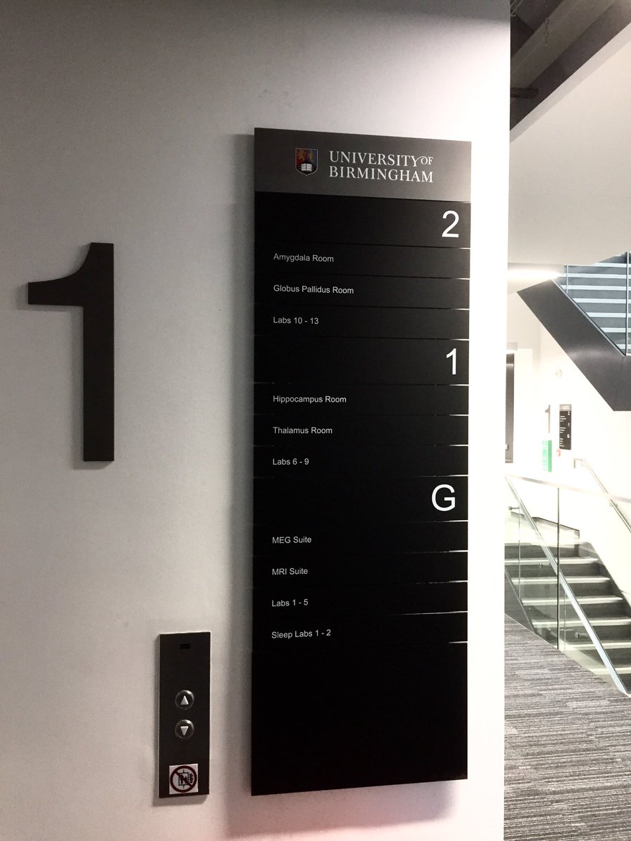 The Centre for Human Brain Health tweet media