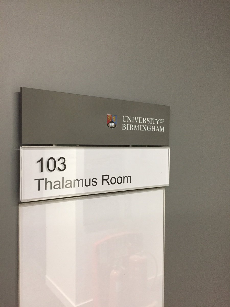 The Centre for Human Brain Health tweet media