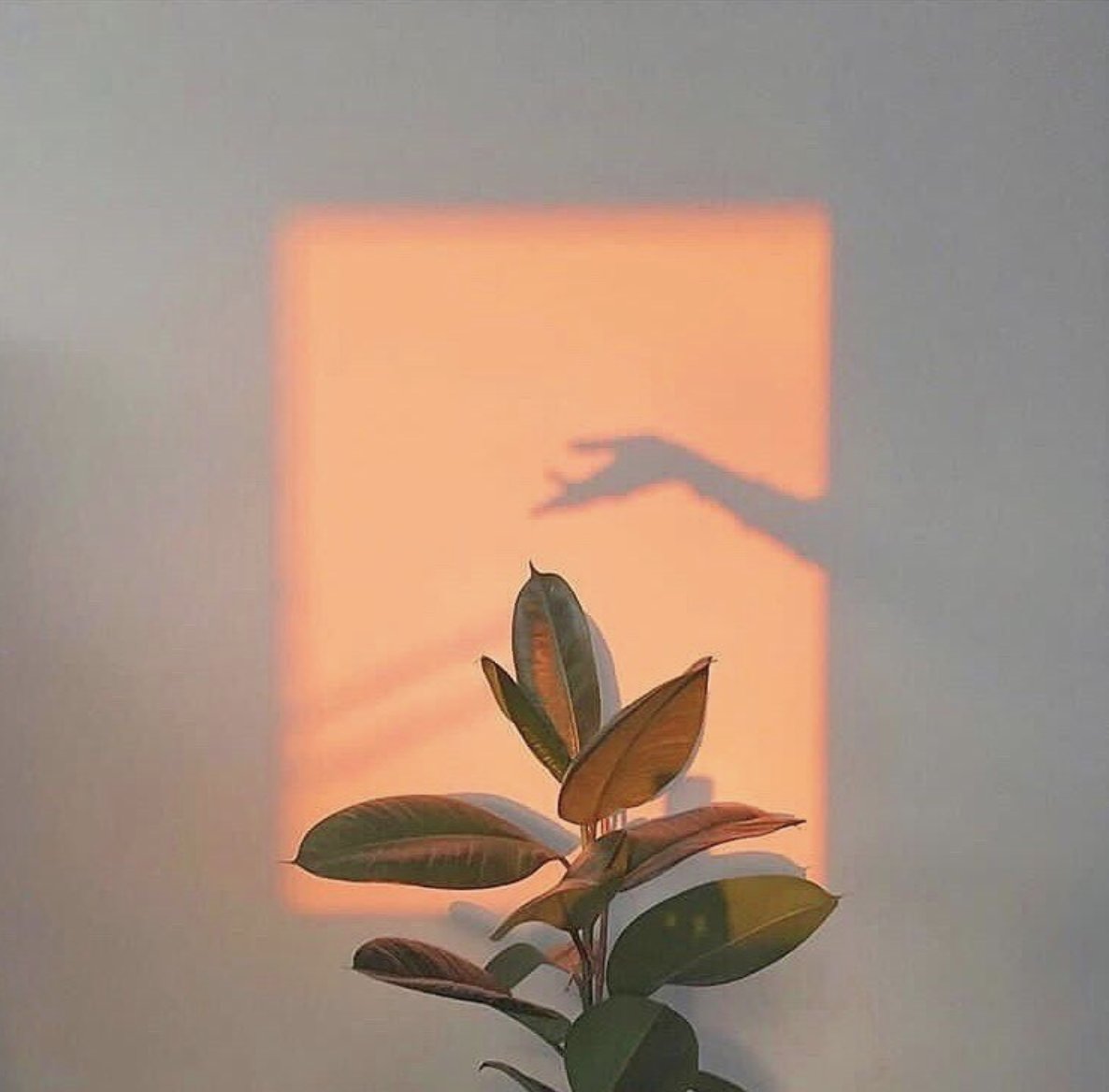 SEZANE_PARIS's tweet photo. Le jour d'avant 🌈
DEMAIN est un jour particulier : je vous donne rendez-vous ici et sur le site pour vous dire de quoi 2019 sera fait pour Sézane... Très bonne soirée
Morgane - @morganesezalory
-
#sezane #desactionsavantdesmots #actionsbeforewords https://t.co/uMHc7jdx8i