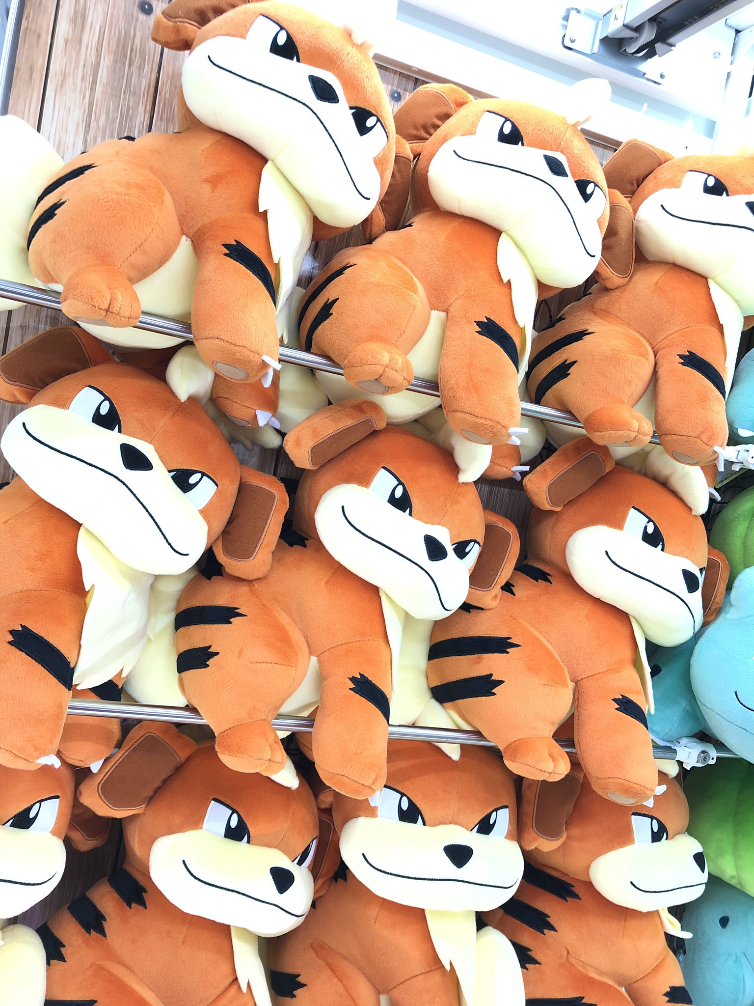 タイステ立川北口 24時まで営業中 Ar Twitter 2f プライズ 新景品 ポケットモンスター サン Amp ムーン めちゃでか ガーディぬいぐるみ 全1種 ポケモンからガーディのぬいぐるみが登場 ワイルドな目つきのガーディさん カッコいいです ポケモン