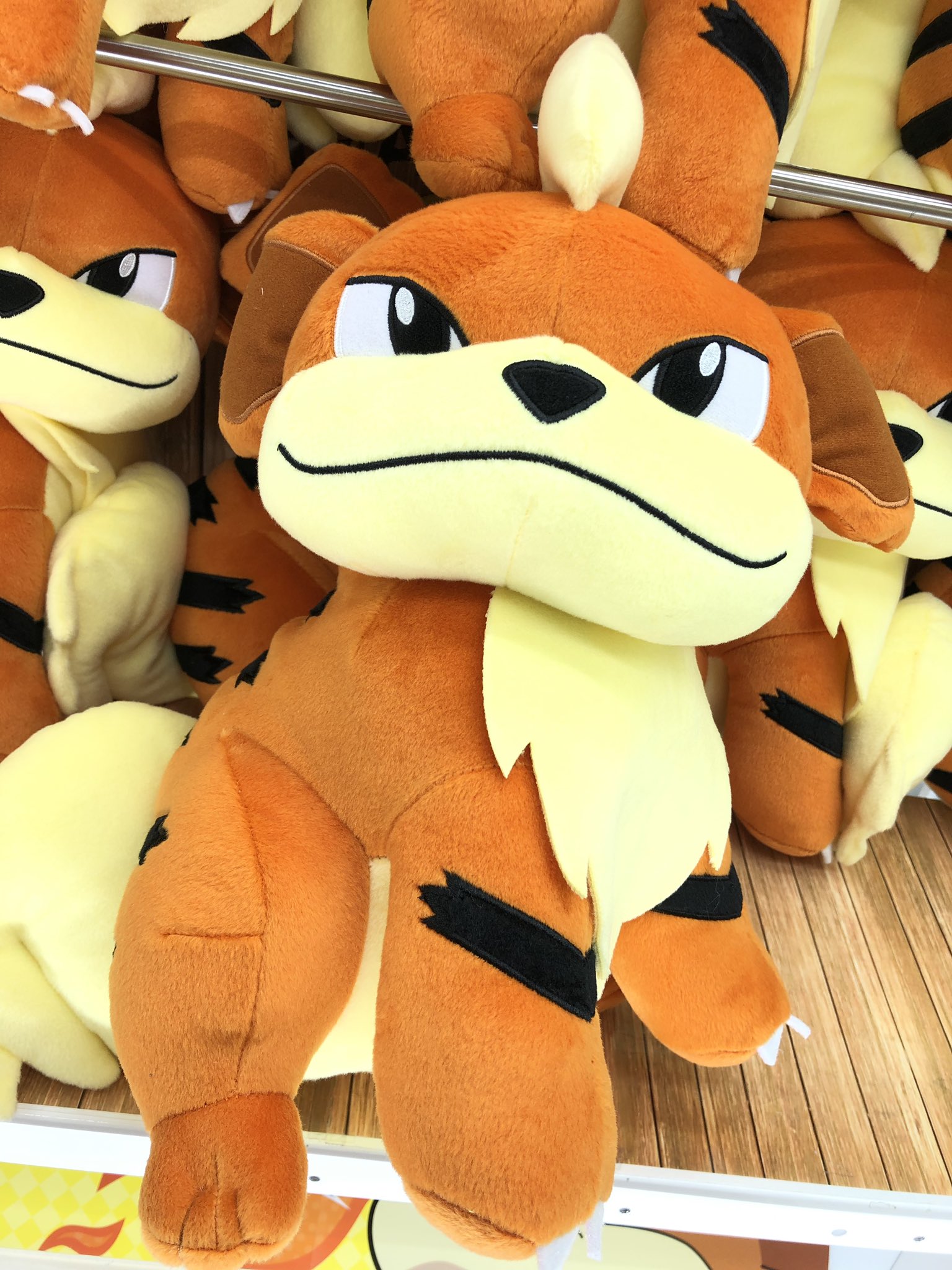 タイステ立川北口 24時まで営業中 Ar Twitter 2f プライズ 新景品 ポケットモンスター サン Amp ムーン めちゃでか ガーディぬいぐるみ 全1種 ポケモンからガーディのぬいぐるみが登場 ワイルドな目つきのガーディさん カッコいいです ポケモン