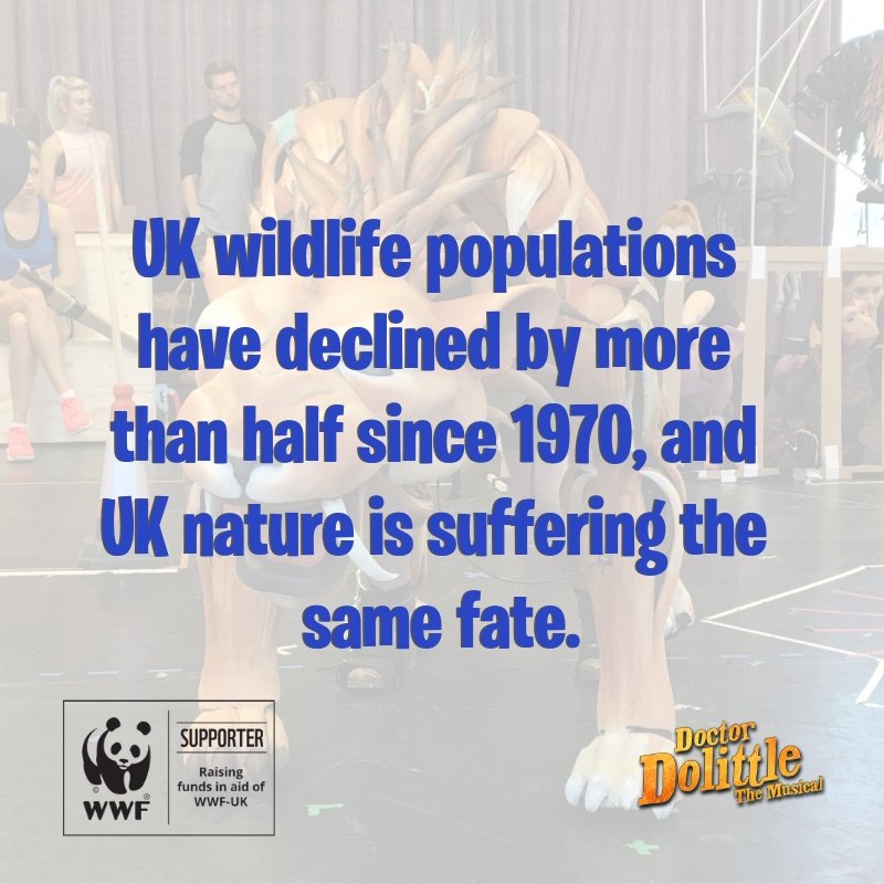 Doctor Dolittle The Musical tweet media