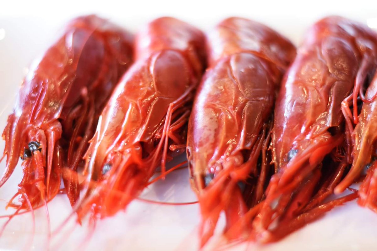 Nos encanta el mar y los carabineros frescos es un imprescindible en nuestra cocina. Toda una delicia para el paladar...  #ExperienciaRocacho.