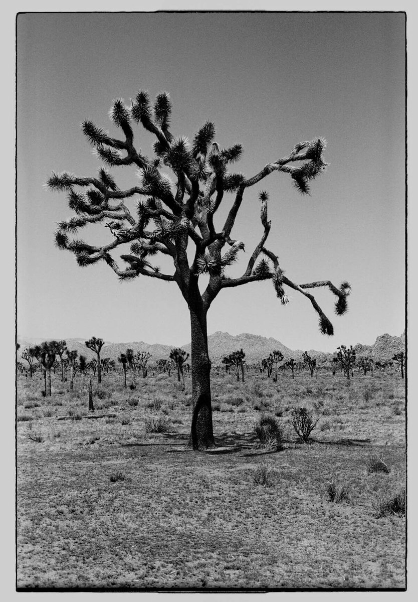 “Postcards from the Past” by Elena Cremona phasesmag.com/elena-cremona/…