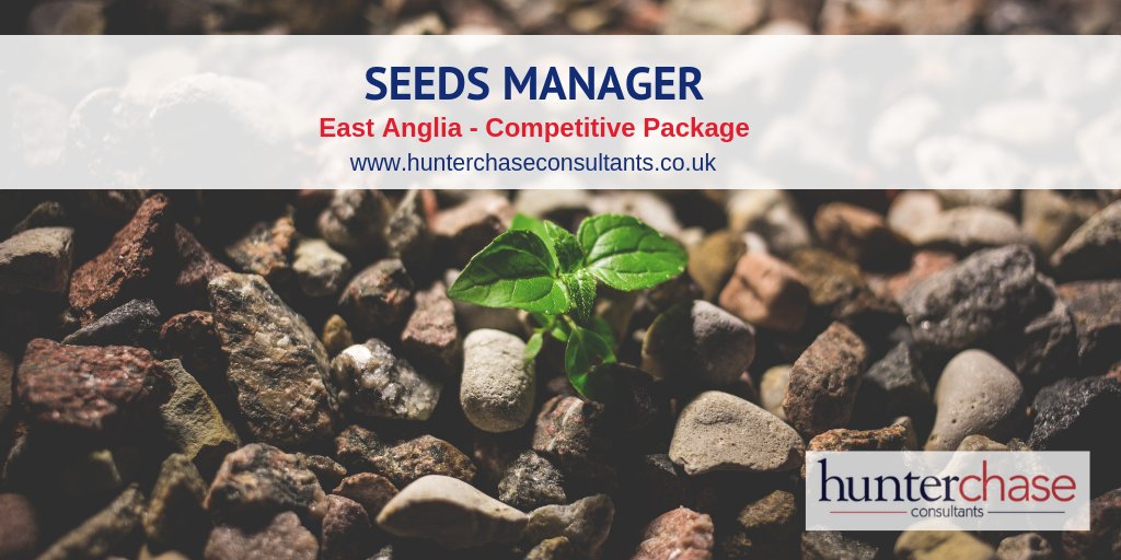 Do you have business acumen, great communication skills and seed sales/production experience? Take a look at this hands-on yet strategic role: bit.ly/2PwHLQk #AgJob #eastangliajobs