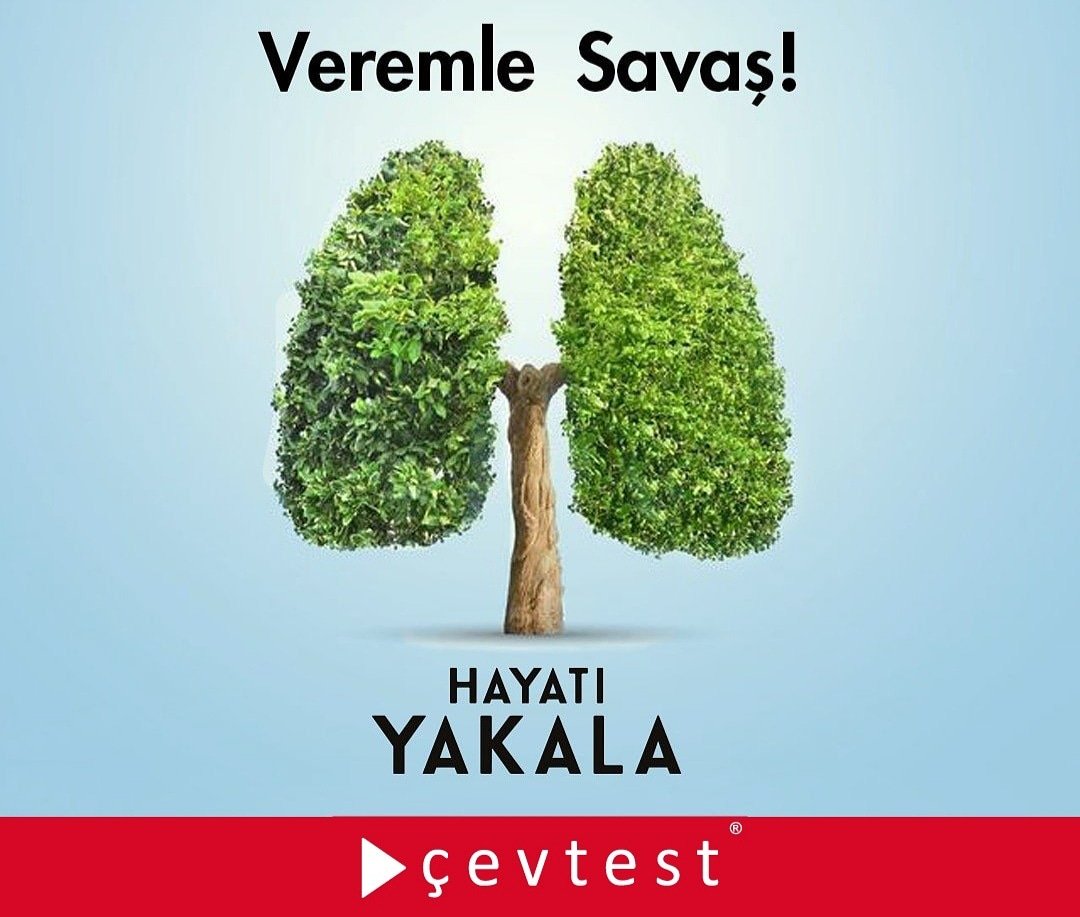 cevtest's tweet photo. https://t.co/3YbktF2me4