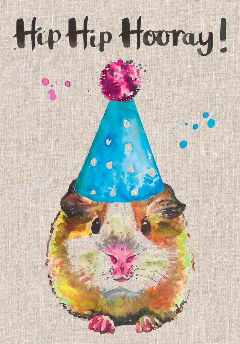 Oh my wonderful customers love a guinea pig, cute but not that cuddly...