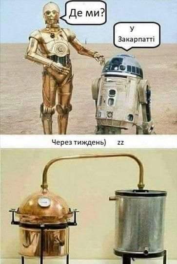 DxBvivGUcAAscWN.jpg:large