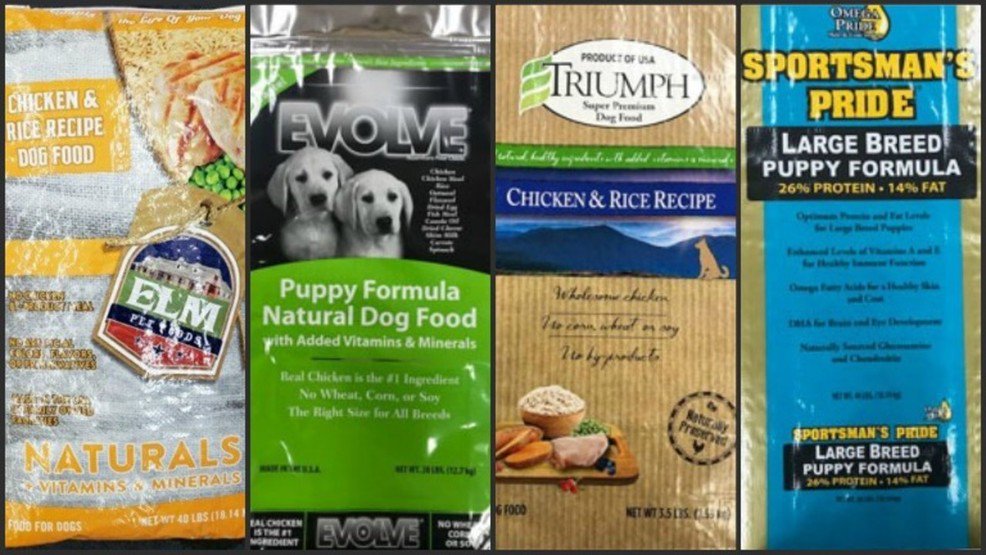 PET FOOD RECALL:  What Brands Have Been Recalled? Found out more info at 
fda.gov/AnimalVeterina…