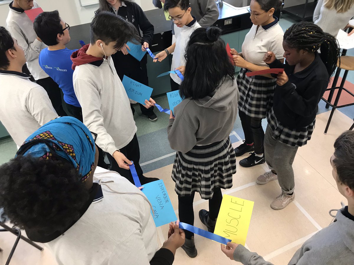 MrCurley3's tweet photo. Simulating blood flow through your heart, lungs and body. @LetsTalkScience @ImmaculataOCSB #Grade10Science https://t.co/RCuoW6NhQF