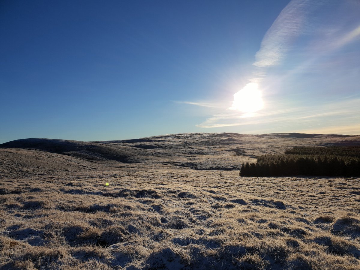 We have had a couple of dreich days this week but the beginning of the week saw crisp frosty mornings and blue skies!

#Winterwatch #scottishhighlands #weather #estatelife #moorland