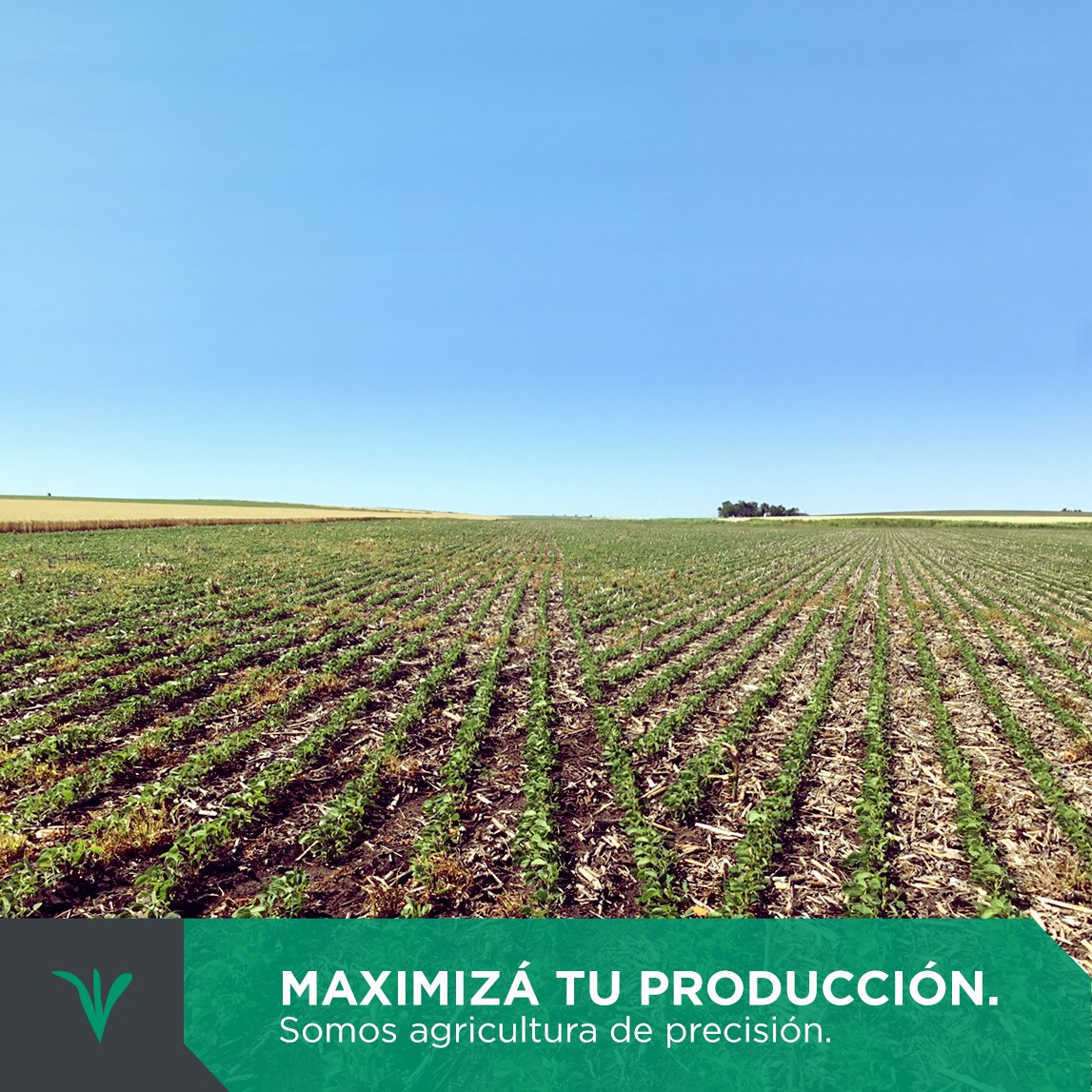 PPlantingARG's tweet photo. Maximizá tu producción y minimizá tus costos. Usa nuestras soluciones tecnológicas. Somos agricultura de precisión para tu campo.

#CampoDePrecision #Rendimiento #Agricultura #PrecisionPlanting #Tecnologias #Innovacion https://t.co/BTZQq12gWb