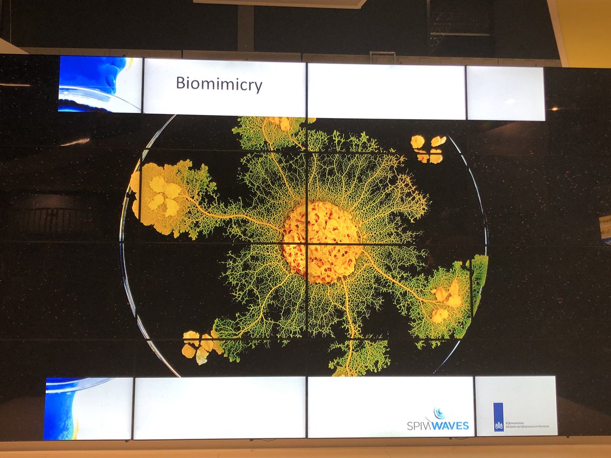 SpinWaves tweet media