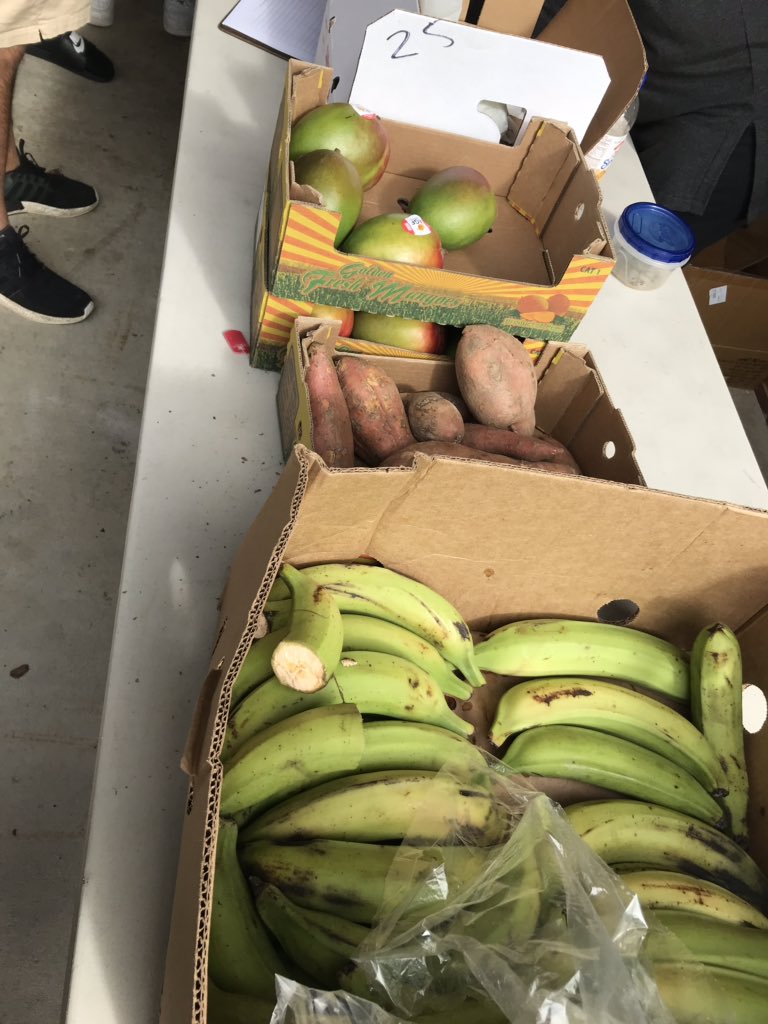 Live.Life.Healthy tweet media