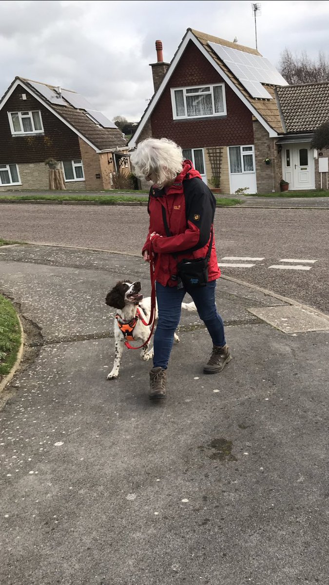 Kay9dogtraining's tweet photo. The dreaded words - Loose lead walking.Are your arms longer than they should be?https://t.co/G595xDtJSQ #looseleadwalking #privatedogtraining #dorset #devon @Kay9dogtraining https://t.co/PHlEj0ySsI
