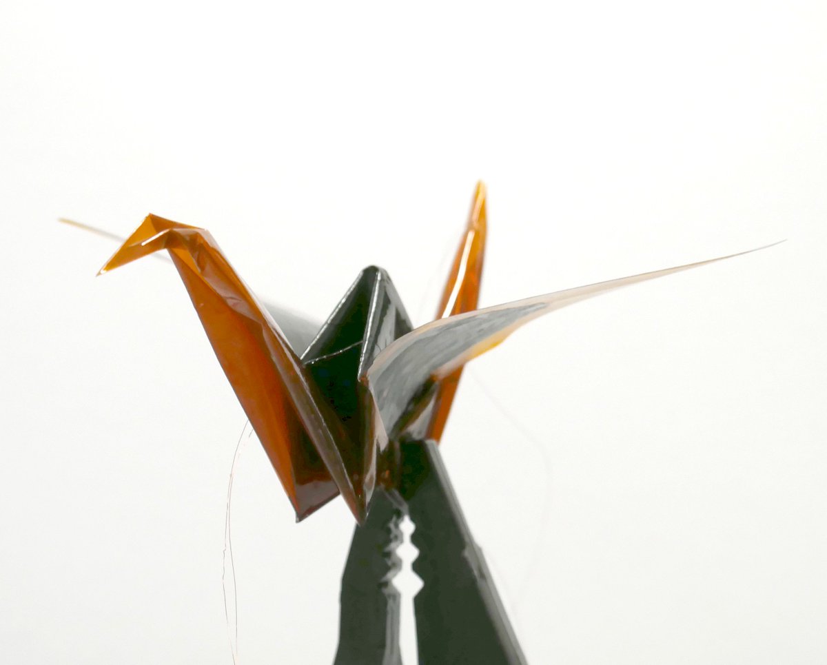 SoftLabBristol's tweet image. Congrats to our new UK IC Research Fellow #RAEngResearch, Tim Helps, who will be developing #artificial_muscles and semi-autonomous #insect-inspired #robots for intelligence gathering, disaster relief and industrial repair
bit.ly/2QEFvfo
@BristolEngMaths @UoB_Engineering