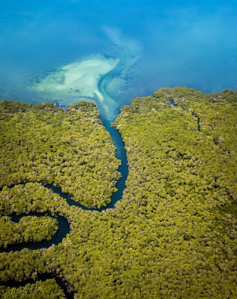 AdaptationNetworkSA tweet media