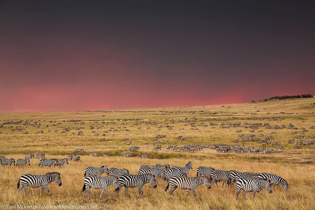 Delio_Lekarsia's tweet photo. Kenya 🇰🇪  is beautiful and we are united as ONE Nation #kenyaunbowed #WeShallOvercome #RiversideAttack #SomeoneTellNYtimes #SomeoneTellDailyExpress #KenyaAttack https://t.co/2hTvRe5sas