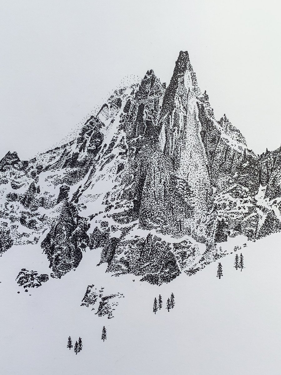 Charley Radcliffe tweet media