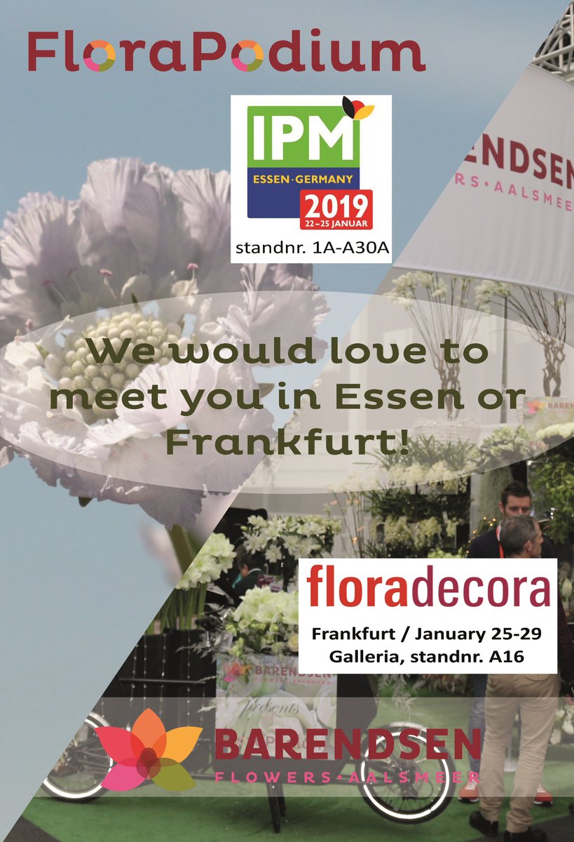 Come to visit us !!
#ipm #Essen  and @ChristmasworldF let's meet and talk about flowers, and all the rest !!!
