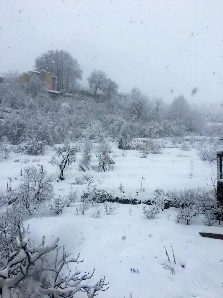 eliekhalil_'s tweet photo. “When #snow falls, nature listens”
#mayrouba #LBCILebanon #January2019 #home_sweet_home https://t.co/ianlQG3KQ9