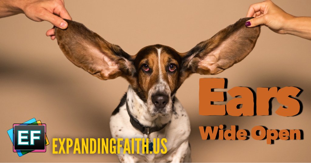 screech1's tweet photo. Ears Wide Open https://t.co/vkD2XOyZJv https://t.co/4ZdleMogHD