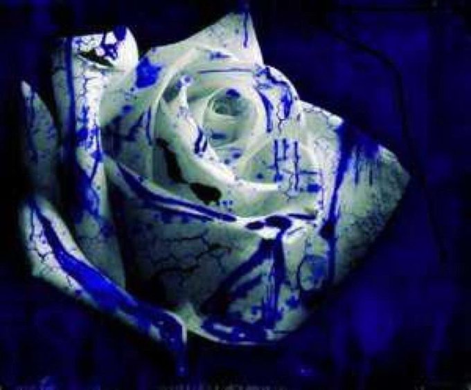 Happy Founders Day to The Finer women of Zeta Phi Beta Sorority Incorporated. https://t.co/HCCwxQQbW