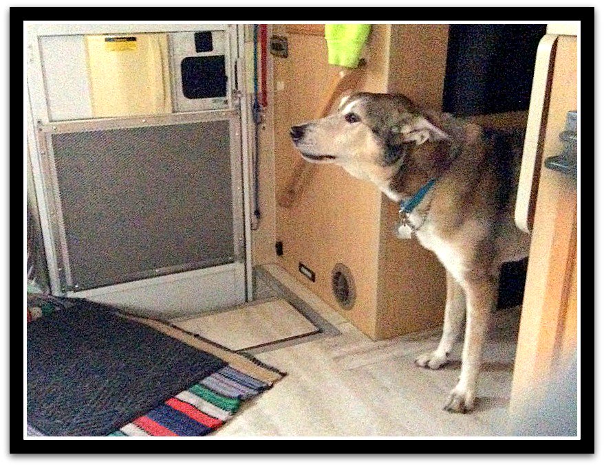 mostlylost_rv's tweet image. oh hey! its a blog post! 

mostlylost.com/2019/01/gettin…