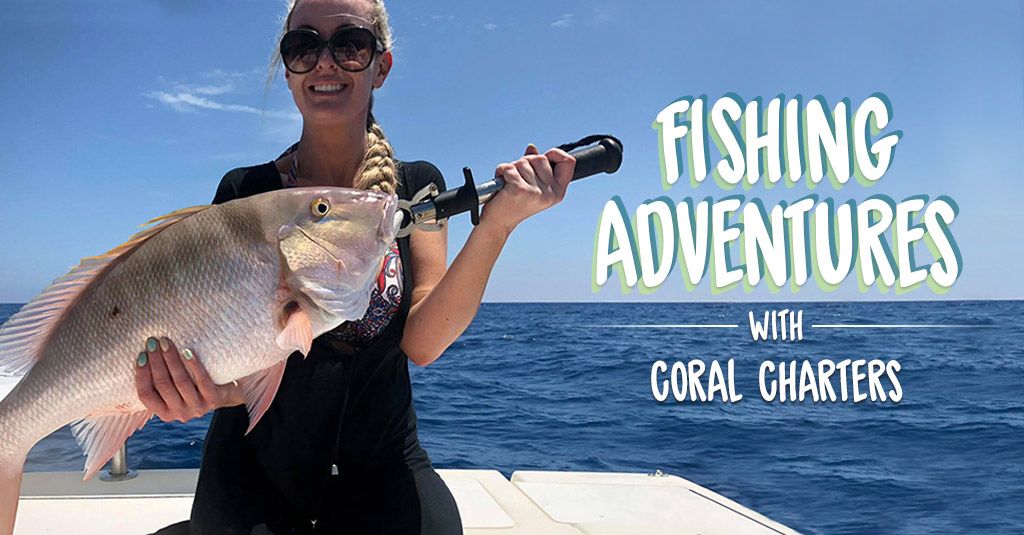 CoralCharters's tweet photo. You don't need therapy, you just need is a fishing adventure!
https://t.co/3Jb0pVaF3l
#CoralCharters #FishingLife #Fishing #BoatLife https://t.co/6W1yj5BGFl