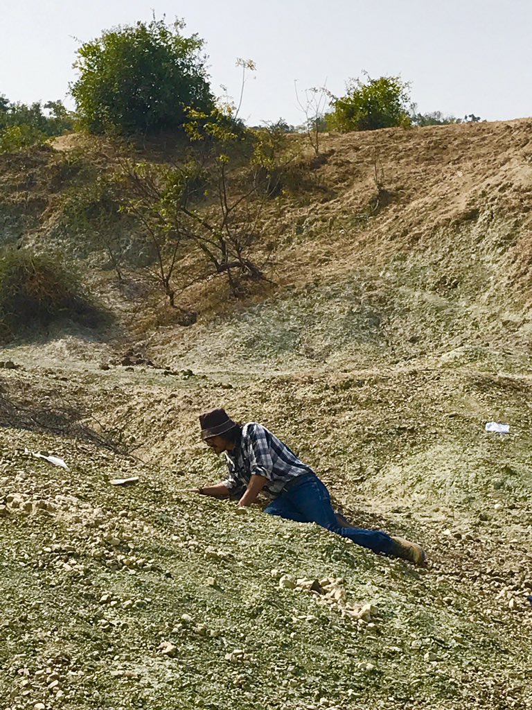 Greg Wilson Mantilla tweet media