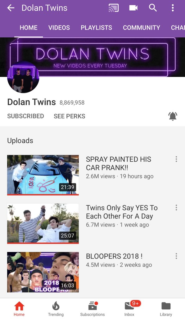 BoopDolans's tweet photo. @GraysonDolan Love you guys 😎 https://t.co/8g6cBvhfWf