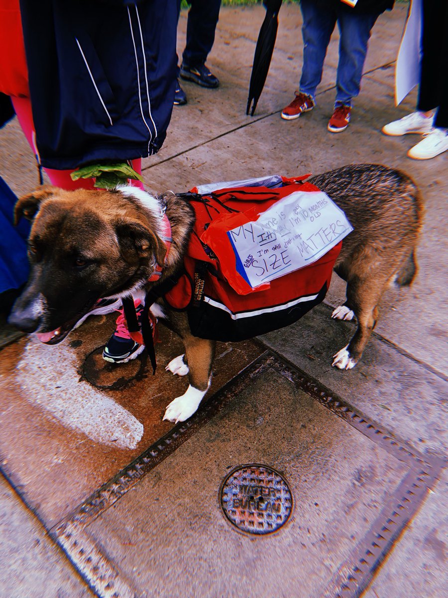 dsa_losangeles's tweet photo. Westside Branch x Itty Bitty - the collab you didn’t know you needed. #RedForEd #UTLAStrong #StrikeReady #smolidarity https://t.co/yYUrJvYwQs