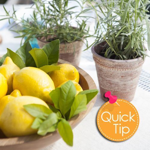 arizonapottery's tweet photo. Tip: Create a beautiful indoor display that is lovely and functional with lemons. Fragrant, lovely and you can get them everywhere. #PotTip #arizonapottery https://t.co/VOkJBcbYmV