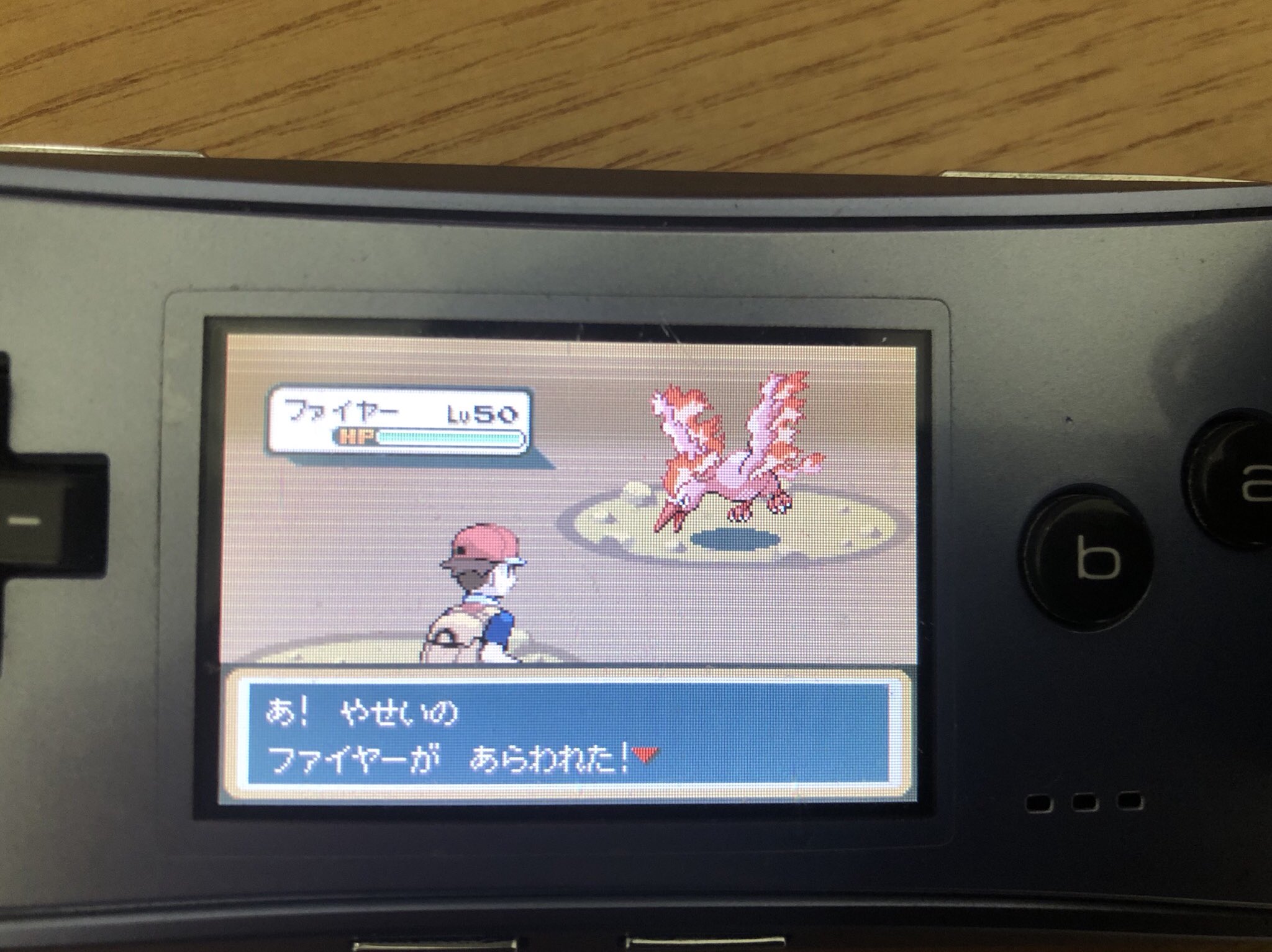 マサタロウ ファイアレッドでファイヤー色違い厳選 1785回で出たのは快挙だと思います 最後は悪あがきされてマスボでした 発狂したぜ ポケモン ポケットモンスター 色違い 色違い厳選 ファイアレッド ウルトラサン ウルトラムーン ファイヤー