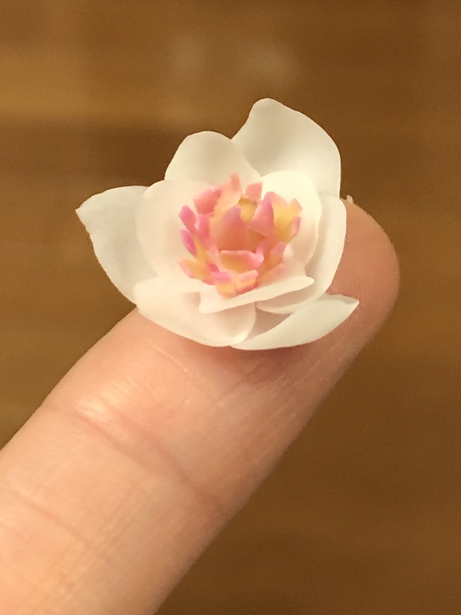 Fiorellino ﾌｨｵﾚﾘｰﾉ 制作お休み中 Cotton Candy 30 ありがとうございますー 何を隠そう私が花に関して全くの無知なのでw 調べながら作ってるという暴挙です 一緒にお勉強ですね W Twitter