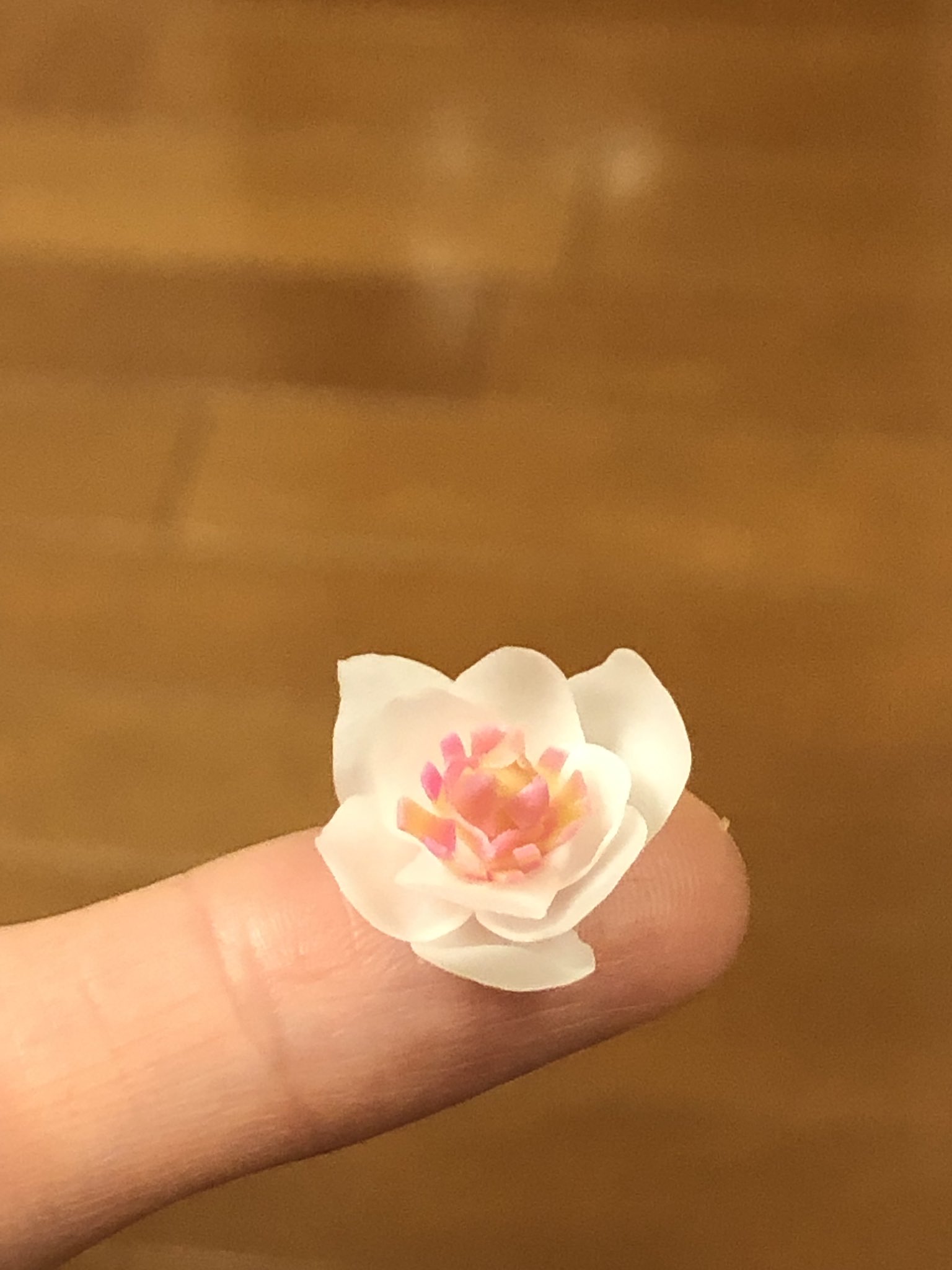 Fiorellino ﾌｨｵﾚﾘｰﾉ 制作お休み中 Cotton Candy 30 ありがとうございますー 何を隠そう私が花に関して全くの無知なのでw 調べながら作ってるという暴挙です 一緒にお勉強ですね W Twitter