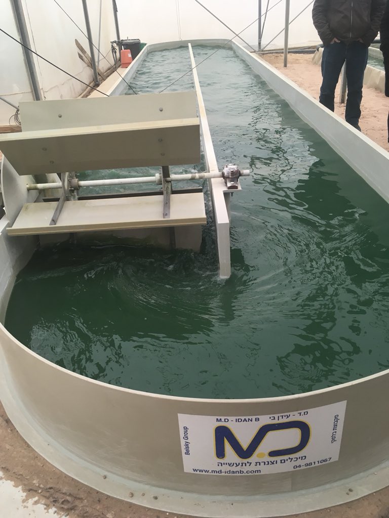 Our technology in 🇮🇱 demo plan!!
#water #acqua #Agua #CircularEconomy #biomass #treatement ! We love ISRAEL! We ❤️ Europe ! 💪💪👏👏💧💦💧<a href="/EU_EASME/">EASME - Executive Agency for SMEs</a> @EU_ecoinno