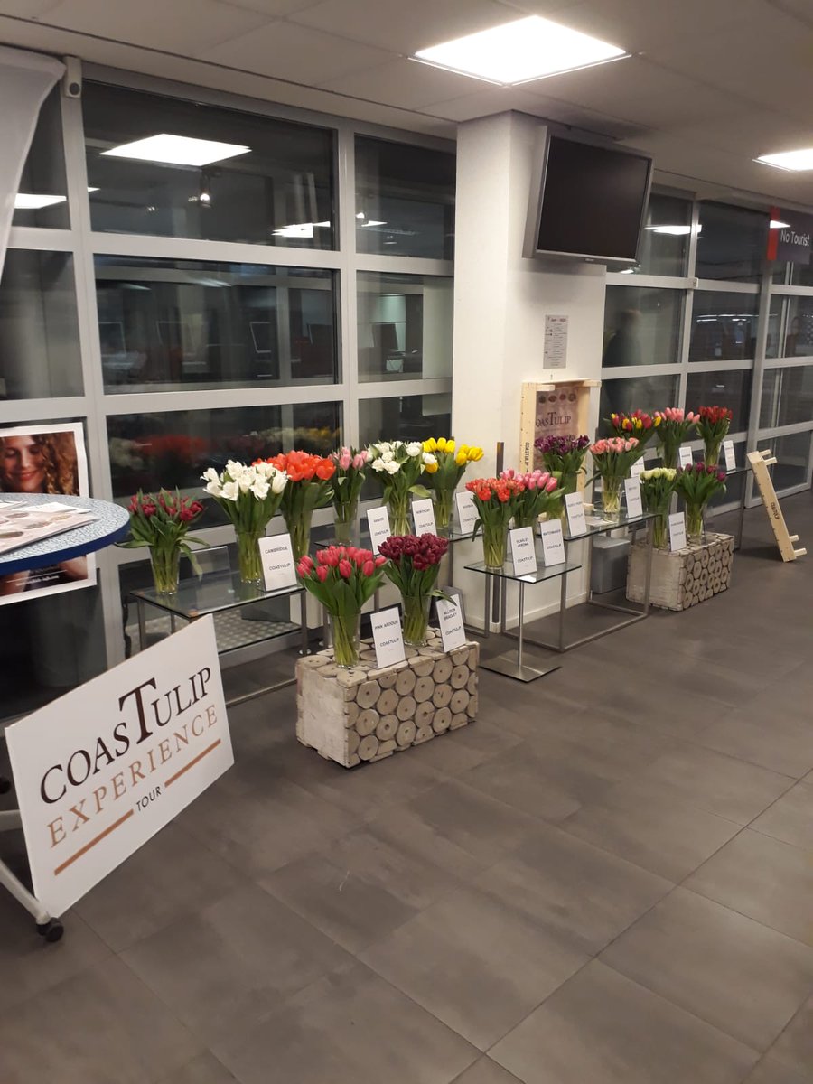 Mooie promotieochtend van Coastulip op bloemenveiling floraholland Aalsmeer #Coastulip #floraholland #coastulipexperience