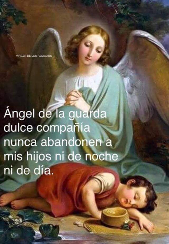 ROSADESARON150's tweet photo. https://t.co/50vugRsb1r