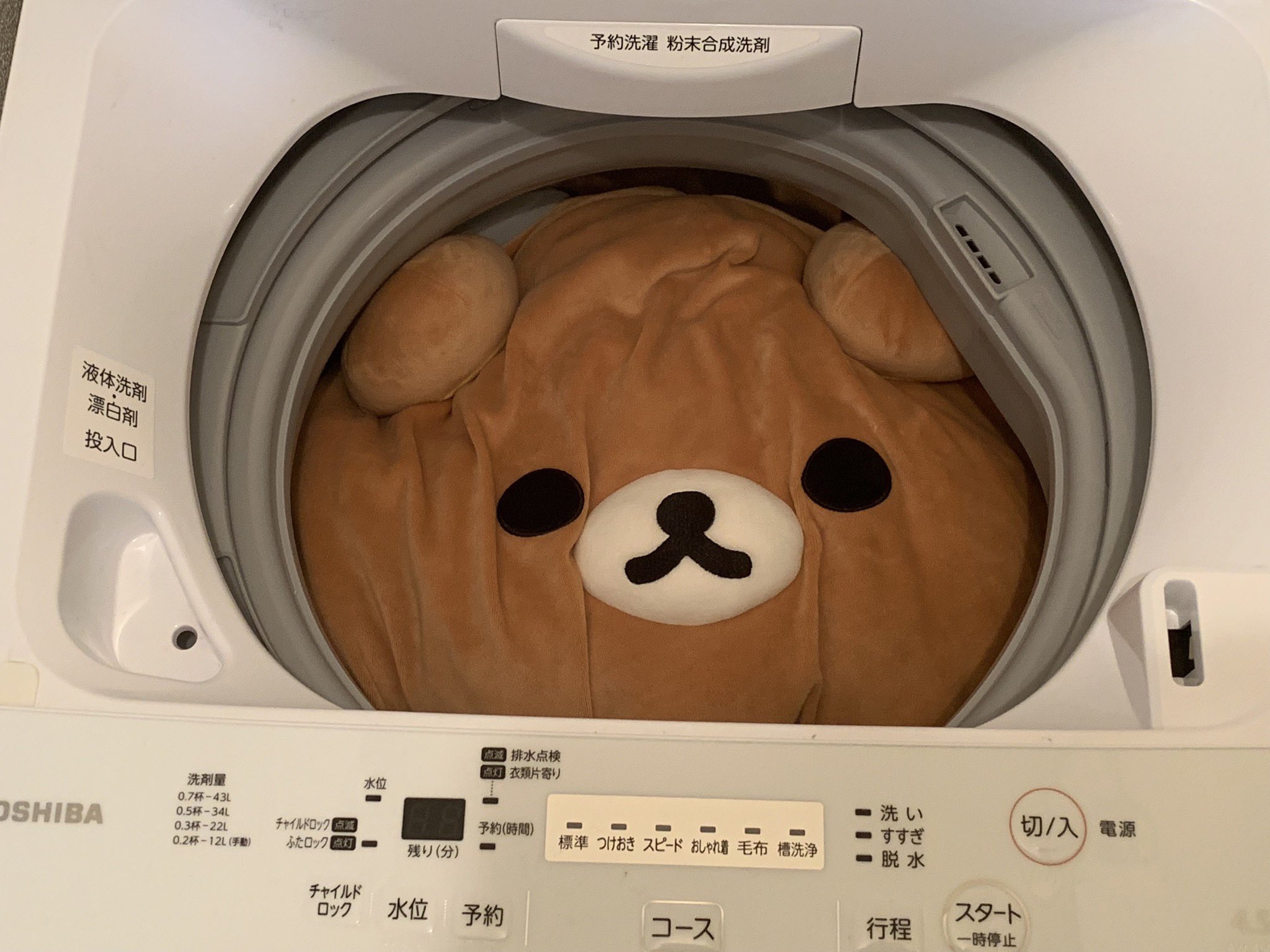 تويتر 愚鈍 على تويتر 大きいぬいぐるみを無理くり洗うとぎゅうぎゅうでかわいい T Co Hidvyiikgv