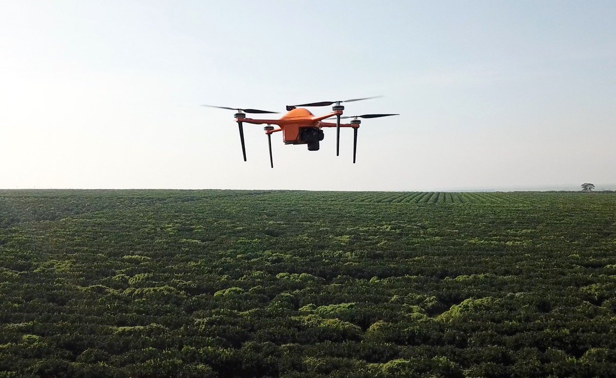 darrenculbreath's tweet photo. AI and drones give farmers an edge as #SeeTree takes off #SlashGear https://t.co/9RKjqi1wGy @slashgear https://t.co/f8yfpKwjIV