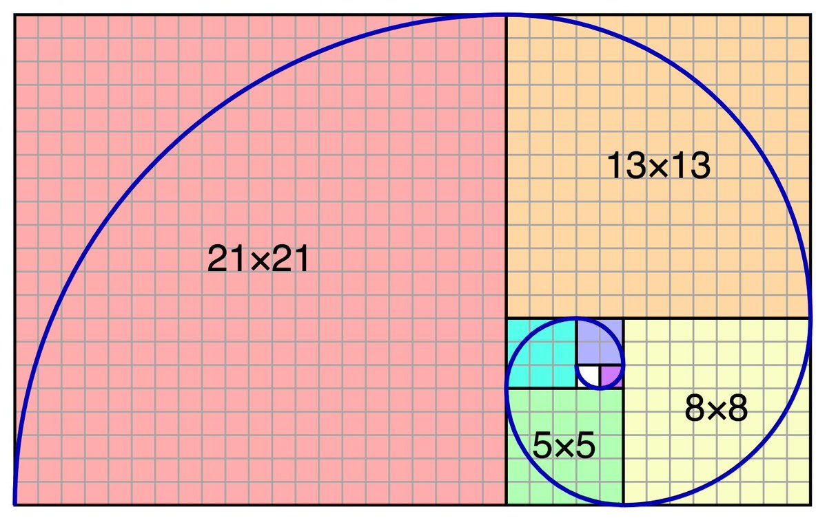 9. Fibonacci Sequence Tattoo with Animals - wide 3