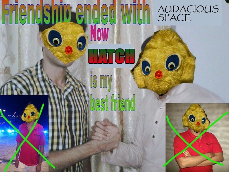 Smash that follow button - <a href="/hatch_sheffield/">Hatch</a>