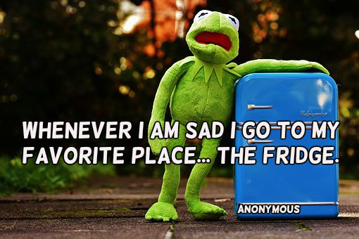 annemariayritys's tweet photo. Whenever I am sad I go to my favorite place... the fridge. Anonymous  #quote https://t.co/mcOdoE5C4k