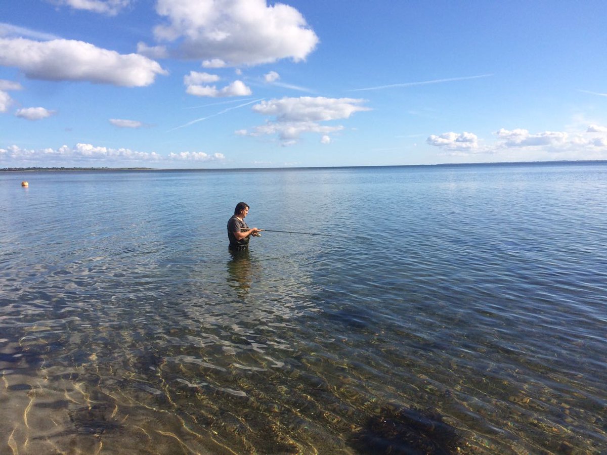 Robert Arlinghaus (moved to Blue Sky) tweet media