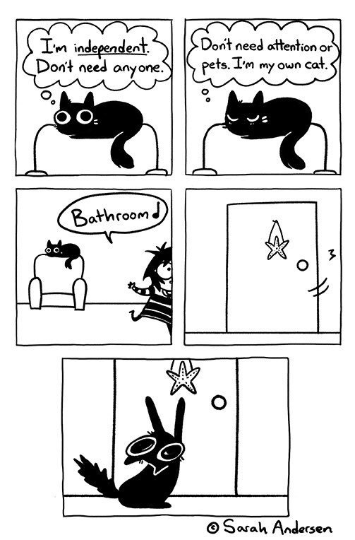 sarah andersen sarahcandersen twitter